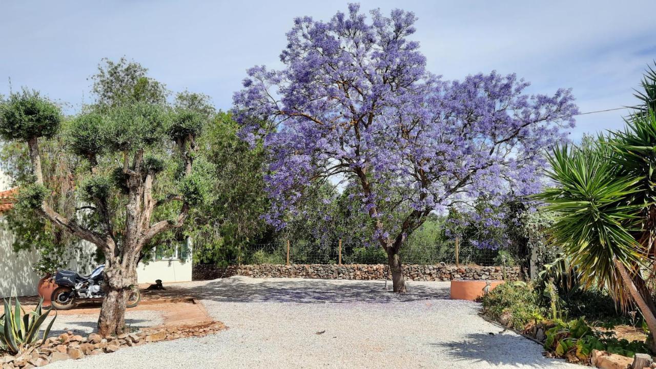 Rural Peace In The Algarve - Private Room With Kitchenette And Bathroom Aldeia dos Matos Exterior photo